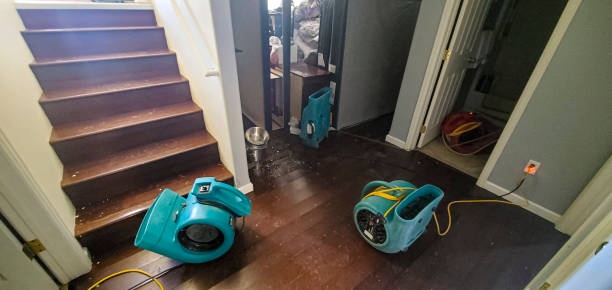 Best Flooded house restoration  in Holtsville, NY