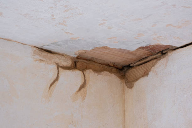 Professional Water damage restoration in Holtsville, NY
