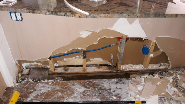 Best Water damage restoration near me  in Holtsville, NY