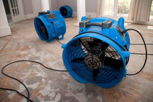 Best 24-hour water damage restoration  in Holtsville, NY
