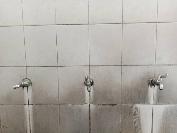 Best Carpet water damage restoration  in Holtsville, NY